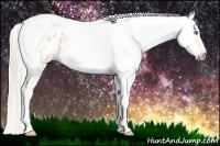 Horse Color:Gray Silver Amber Cream Champagne Roan Dun Splash Tobiano Frame Appaloosa Rabicano 