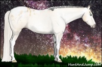 Horse Color:Gray Silver Amber Cream Champagne Roan Dun Splash Tobiano Frame Appaloosa Rabicano