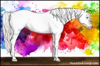 Horse Color:Gray Silver Amber Cream Champagne Roan Dun Splash Tobiano Frame Near Leopard Rabicano 
