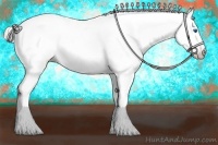 Horse Color:Gray Silver Amber Cream Champagne Roan Dun Splash Tobiano Frame Blanket Rabicano 