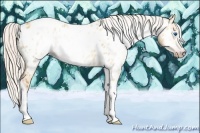 Horse Color:Gray Silver Amber Cream Champagne Roan Dun Splash Tobiano Frame Appaloosa Rabicano 