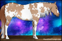 Horse Color:White Spotted Liver Red Dun 
