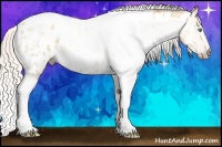 Horse Color:Gray Silver Amber Cream Champagne Roan Dun Splash Tobiano Frame Appaloosa Rabicano 