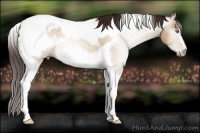Horse Color:Gray Amber Champagne Roan Dun Tobiano Frame Varnish Rabicano 