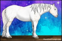 Horse Color:Gray Silver Amber Cream Champagne Roan Dun Splash Tobiano Frame Appaloosa Rabicano 