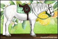Horse Color:Gray Silver Amber Cream Champagne Roan Dun Splash Tobiano Frame Blanket Rabicano 