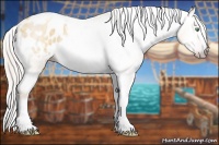 Horse Color:Gray Silver Amber Cream Champagne Roan Dun Splash Tobiano Frame Appaloosa Rabicano 