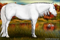 Horse Color:Gray Silver Amber Cream Champagne Roan Dun Splash Tobiano Frame Appaloosa Rabicano 