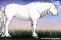 Horse Color:Gray Silver Amber Cream Champagne Roan Dun Splash Tobiano Frame Appaloosa Rabicano 
