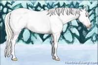 Horse Color:Gray Silver Amber Cream Champagne Roan Dun Splash Tobiano Frame Appaloosa Rabicano 