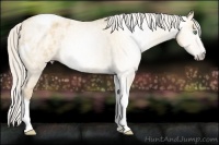 Horse Color:Gray Silver Amber Cream Champagne Roan Dun Splash Tobiano Frame Appaloosa Rabicano