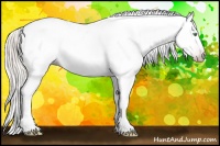 Horse Color:Gray Silver Amber Cream Champagne Roan Dun Splash Tobiano Frame Appaloosa Rabicano