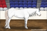 Horse Color:Chestnut Sabino Splash 