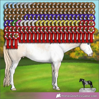 Horse Color:White Spotted Perlino 