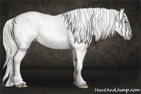 Horse Color:Gray Silver Amber Cream Champagne Roan Dun Splash Tobiano Frame Blanket Rabicano 