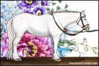 Horse Color:Gray Silver Amber Cream Champagne Roan Dun Splash Tobiano Frame Varnish Rabicano 