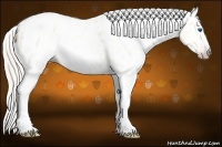 Horse Color:Gray Silver Amber Cream Champagne Roan Dun Splash Tobiano Frame Appaloosa Rabicano 