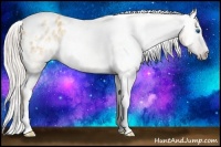 Horse Color:Gray Silver Amber Cream Champagne Roan Dun Splash Tobiano Frame Appaloosa Rabicano 