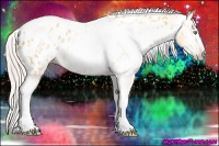Horse Color:Gray Silver Amber Cream Champagne Roan Dun Splash Tobiano Frame Appaloosa Rabicano 