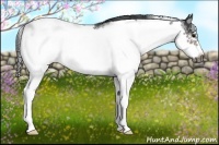 Horse Color:Brown Sabino Frame 