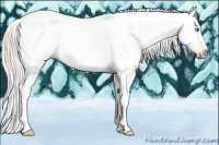Horse Color:Gray Silver Amber Cream Champagne Roan Dun Splash Tobiano Frame Varnish Rabicano 