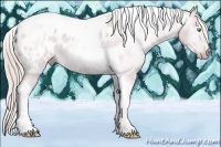 Horse Color:Gray Watercolor Silver Amber Cream Champagne Roan Dun Splash Tobiano Frame Appaloosa Rabicano 