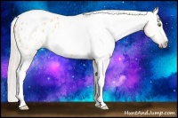 Horse Color:Gray Silver Amber Cream Champagne Roan Dun Splash Tobiano Frame Appaloosa Rabicano 