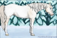 Horse Color:Gray Silver Amber Cream Champagne Roan Dun Splash Tobiano Frame Snowcap Rabicano