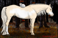 Horse Color:Palomino Roan Dun Frame 