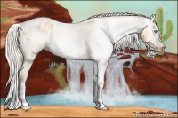 Horse Color:Gray Silver Amber Cream Champagne Roan Dun Splash Tobiano Frame Varnish Rabicano 