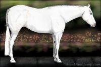 Horse Color:Gray Silver Amber Cream Champagne Roan Dun Splash Tobiano Frame Appaloosa Rabicano 