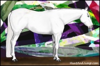 Horse Color:Gray Silver Amber Cream Champagne Roan Dun Splash Tobiano Frame Appaloosa Rabicano 