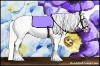 Horse Color:Gray Silver Amber Cream Champagne Roan Dun Splash Tobiano Frame Appaloosa Rabicano 