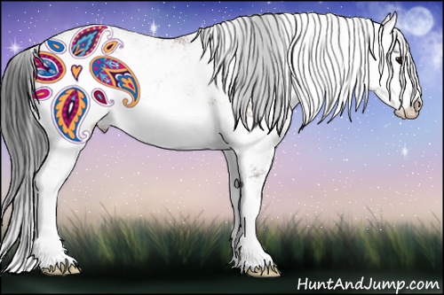 Horse Color: Bay Sabino 
