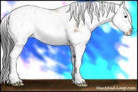 Horse Color:Bay Sabino Splash 