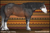 Horse Color:Brown Sabino Splash