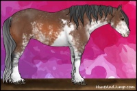 Horse Color:Bay Sabino 