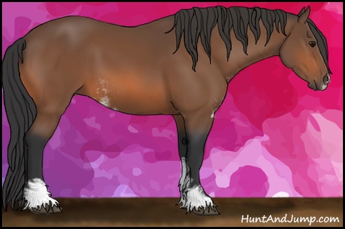 Horse Color: Bay Sabino Rabicano 