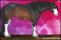 Horse Color:Brown Sabino
