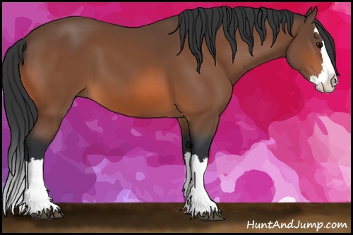 Horse Color: Bay Sabino Splash 