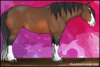 Horse Color:Bay Sabino Splash 