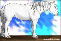 Horse Color:Bay Sabino 