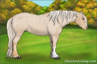 Horse Color:Palomino Roan Varnish 
