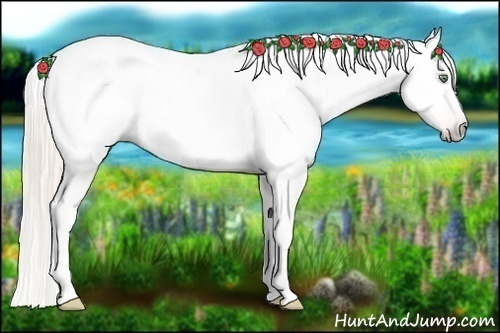 Horse Color:Gray Silver Amber Cream Champagne Roan Dun Splash Tobiano Frame Appaloosa Rabicano