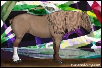 Horse Color:Liver Red Dun 