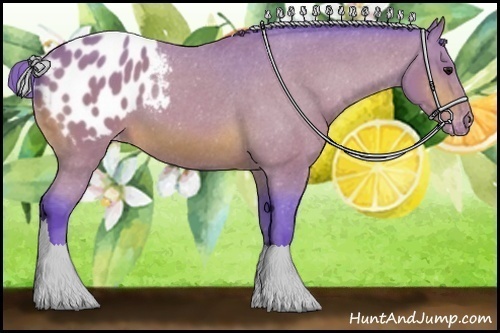 Horse Color: Watercolor Bay Blanket 