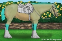 Horse Color:Watercolor Bay Sabino 