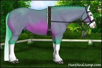 Horse Color:Watercolor Bay Splash