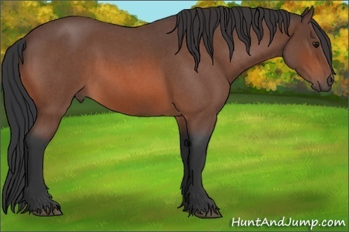 Horse Color: Bay Roan Sabino 