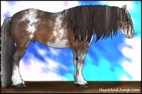 Horse Color:White Spotted Buckskin Sabino
